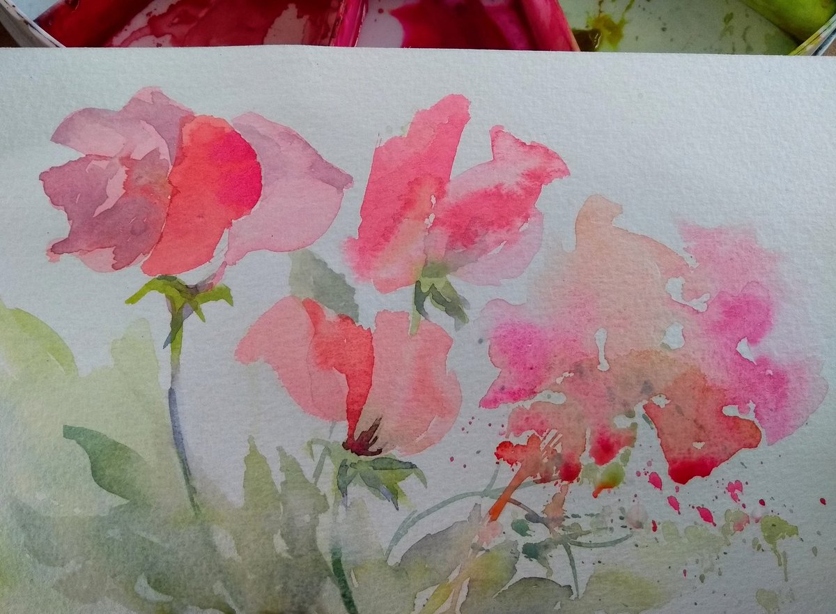 Sweetpea practice 13cmx20cm #sweetpea #Watercolour #watercolor #bockingford #drawingaugust #madeinnottingham