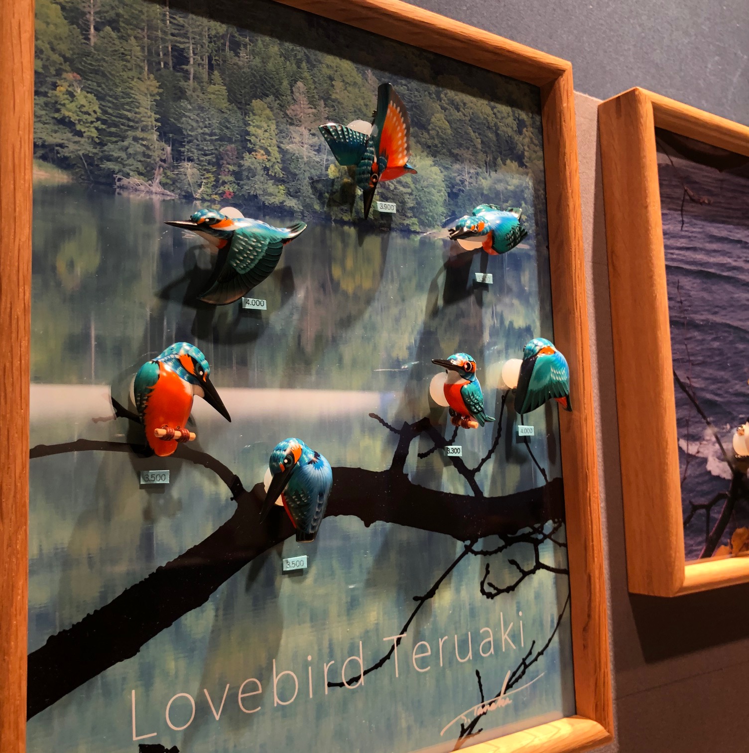 北海道ホテル ラブバードテルアキ展 毎年人気のラブバードテルアキ展を1階ロビーにて開催中です 今回の見どころは クラフトマンの田中 輝顕さんが２年にわたり企画 考案された 366日分の 誕生日ラブバード T Co Cfliouj00d