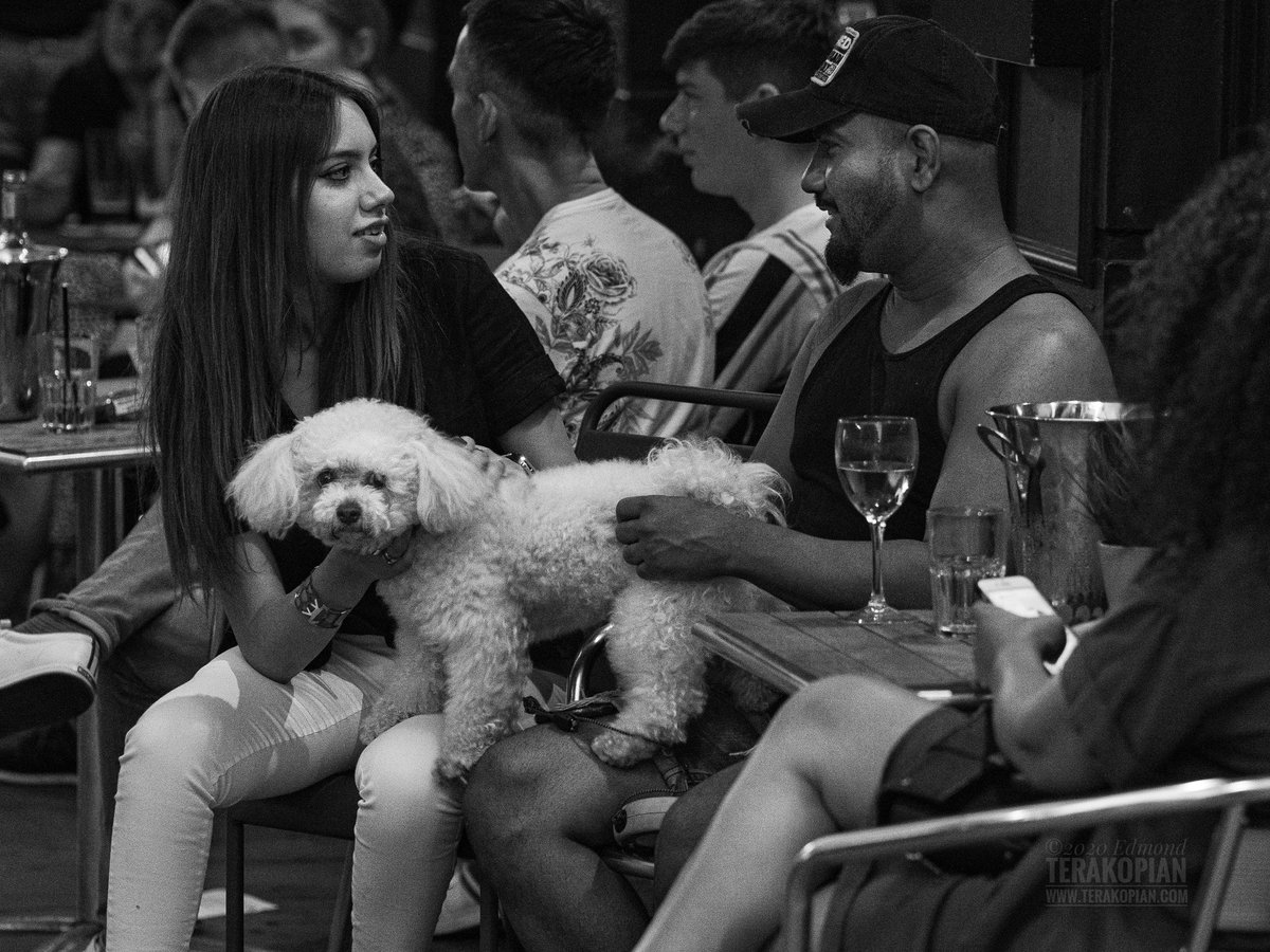 terakopian's tweet photo. Alfresco Dog 02 #soho #dining #drinks #nightlife #alfresco #dailylife #streetphotography #canpubphoto #lockdown #pet #dog #pandemic #covid19 #lowlightphotography #availablelightphotography #portrait #face #fashion @lumix @lumixuk #lumix #lumixg9 #m43 #mzuiko75mm #bw #monochrome https://t.co/RiQ7a8Y3Xi