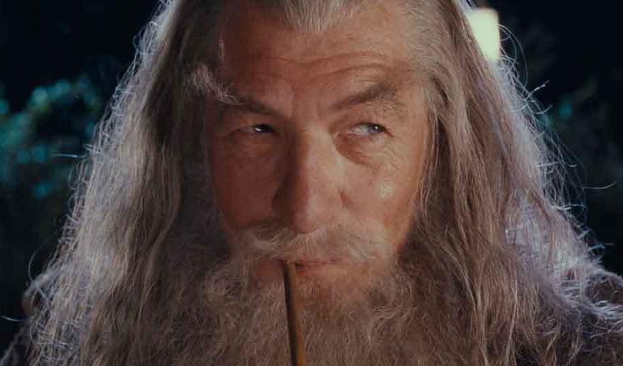 Ian McKellen:Gandalf and Magneto (X-Men)