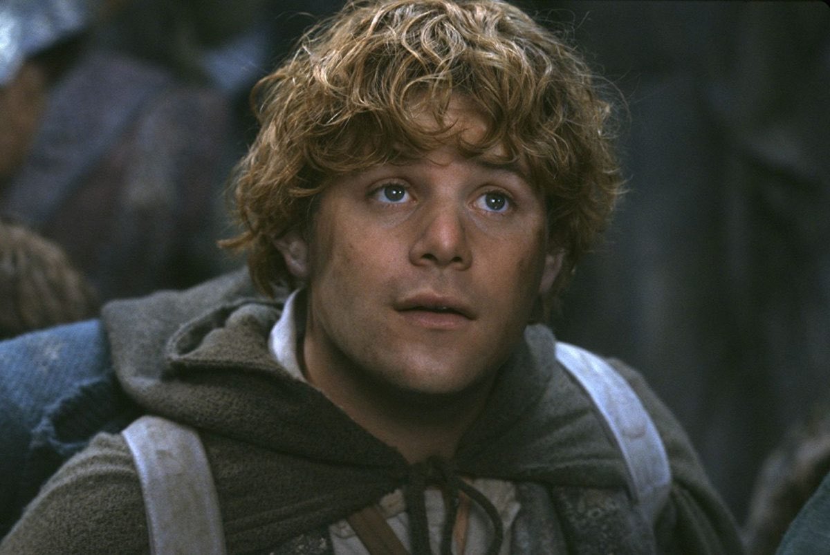 Sean Astin:Samwise Gamgee and Mikey (The Goonies)