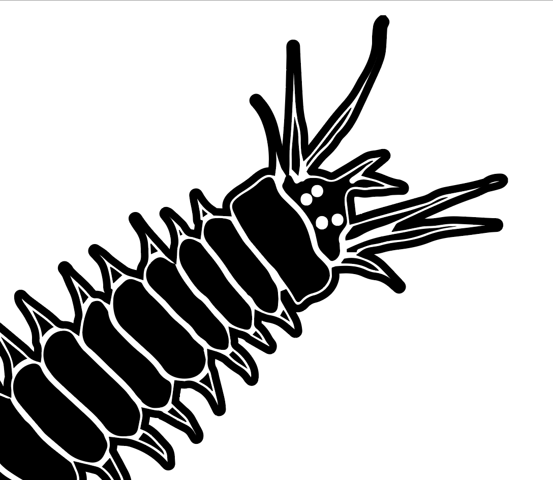 We are hiring a lab tech/research assistant to work on establishing transgenic #Platynereis lines for our <a href="/NIH/">NIH</a>-funded project to study germline regeneration. Please spread the word. #academicjobs <a href="/MBLScience/">Marine Biological Laboratory (MBL)</a>  
recruiting.ultipro.com/MAR1033MBL/Job…