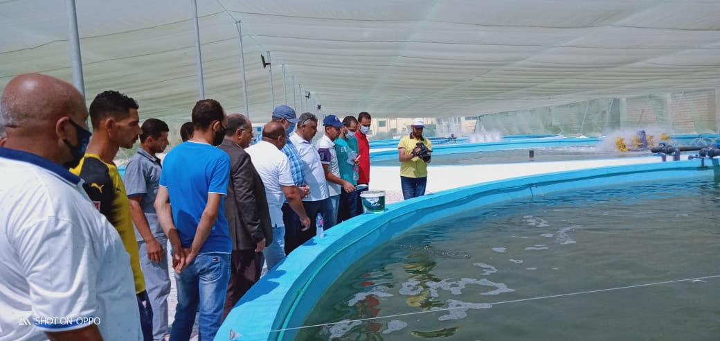AFD_en's tweet photo. #Egypt's Minister of Agriculture has just inaugurated a new aquaculture farm. With #EUinEgypt, we support farmers, #agricultural entrepreneurs and #SMEs. The goal is to raise farmers’ earnings, especially in the #milk and #aquaculture sectors. #partnerwithFrance https://t.co/QLyKmRnnYL