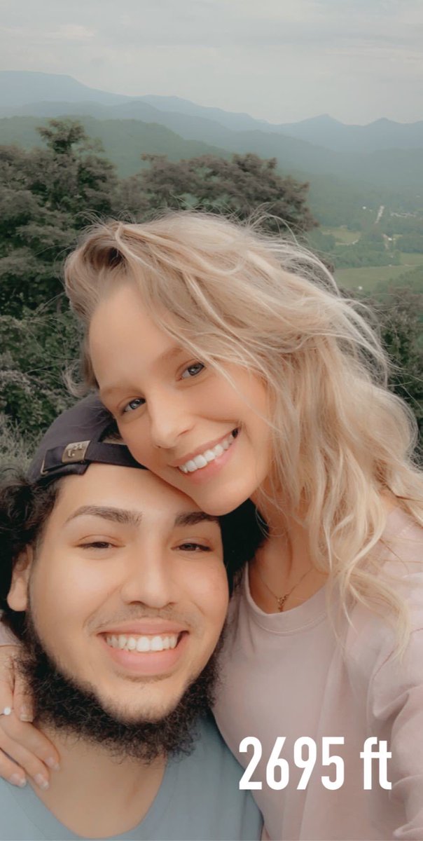 Will 🐢 tweet media