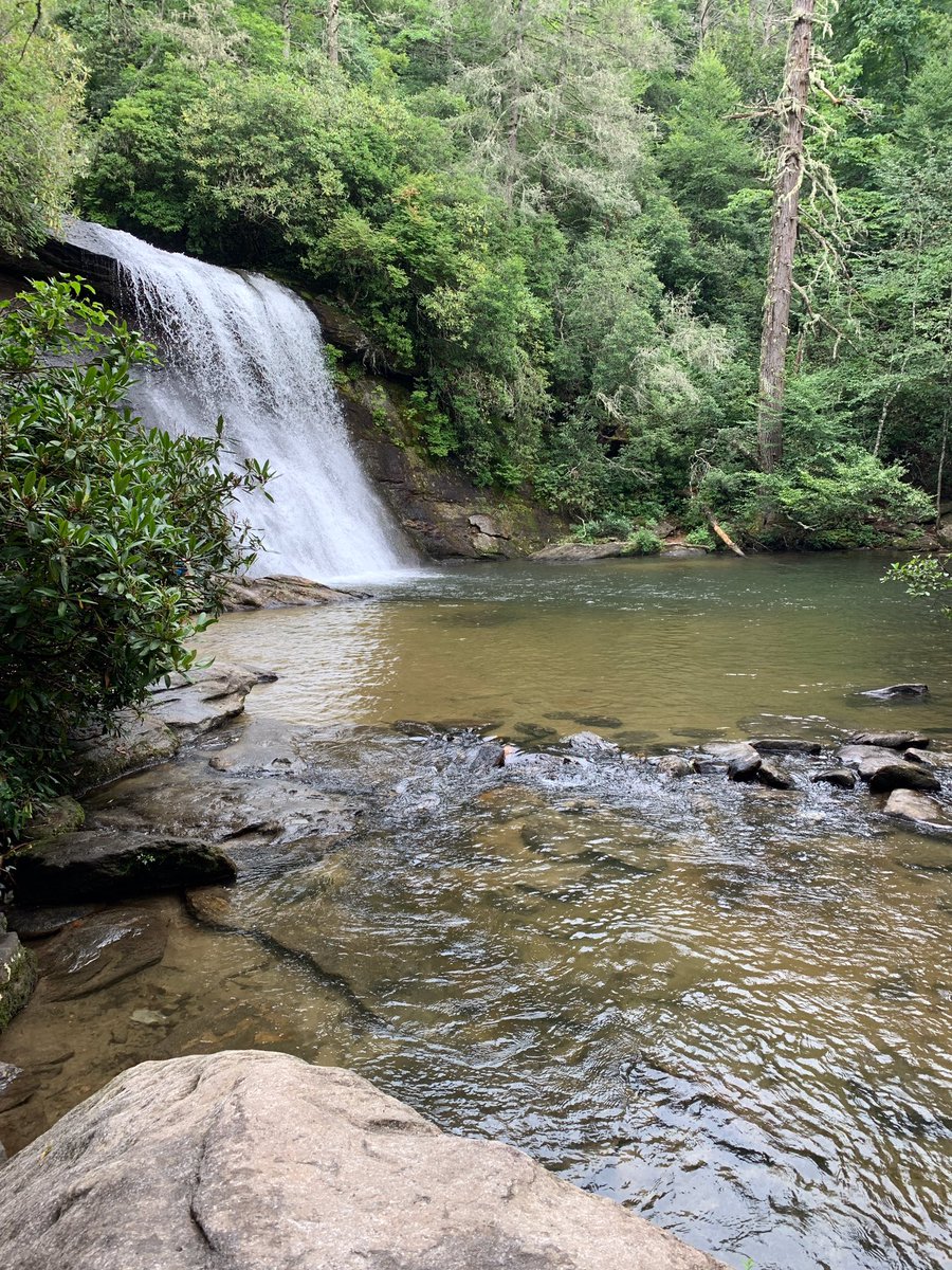 Will 🐢 tweet media