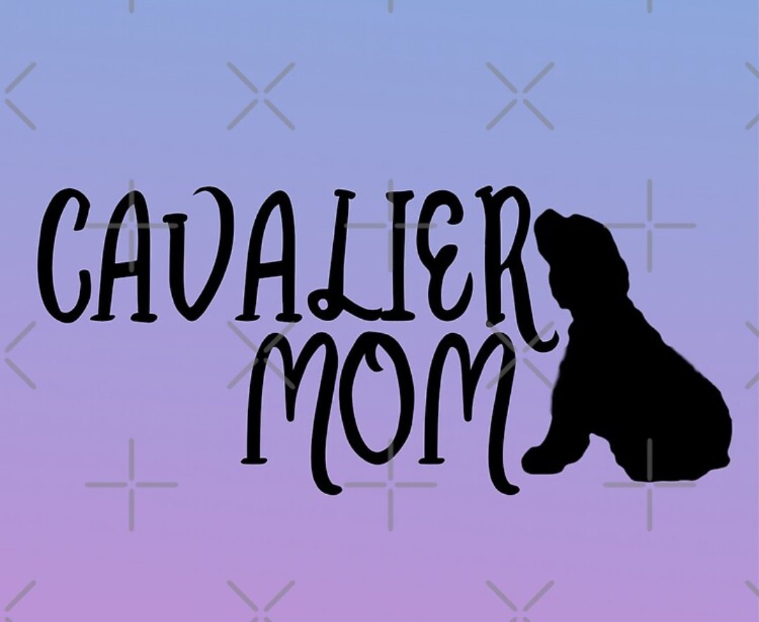 GODDESS_CARMEN_'s tweet photo. If you're a #CavalierMom then this #TravelMug is for you!

https://t.co/rWkN81mcEs

#peronalised #forsale #Cavalierkingcharlesspaniel #cavalier #spaniel #dogs #dog #doglover #dogmum #dogmom #onlinestore #redbubble #redbubbleshop #redbubblestore #redbubbleartists #findyourthing https://t.co/Dg0oWlWmtP