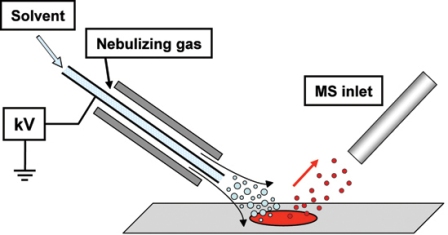 Here's the setup. The sample, with your analyte, is deposited onto a surface and an electrosprayed mist (with some help from a little gas) is directed towards it. As the solvent mist travels to the sample, a thin film is formed.