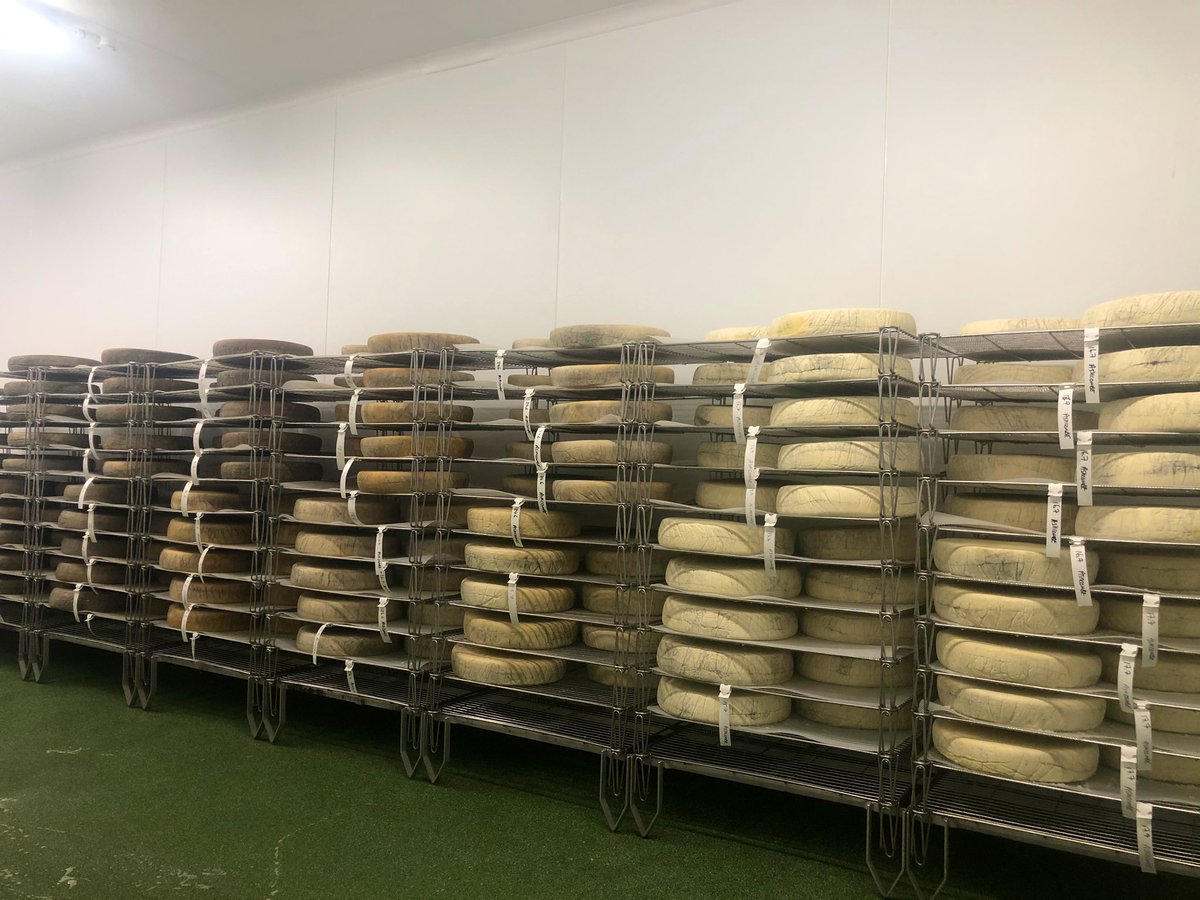 Meet Ashcombe.
Taking inspiration of the French classic, Morbier, Ashcombe is a semi-hard cheese featuring a striking horizontal line of wood ash running through the curd. With rich, milky, hazelnut flavours, it’s very moorish!