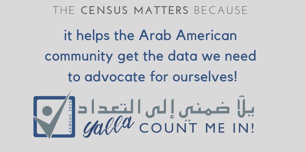 Arab Americans deserve their share of representation, federal funding and resources, but are undercounted in the census. Take the #2020Census today at my2020Census.gov #WeCount #YallaCountMeIn