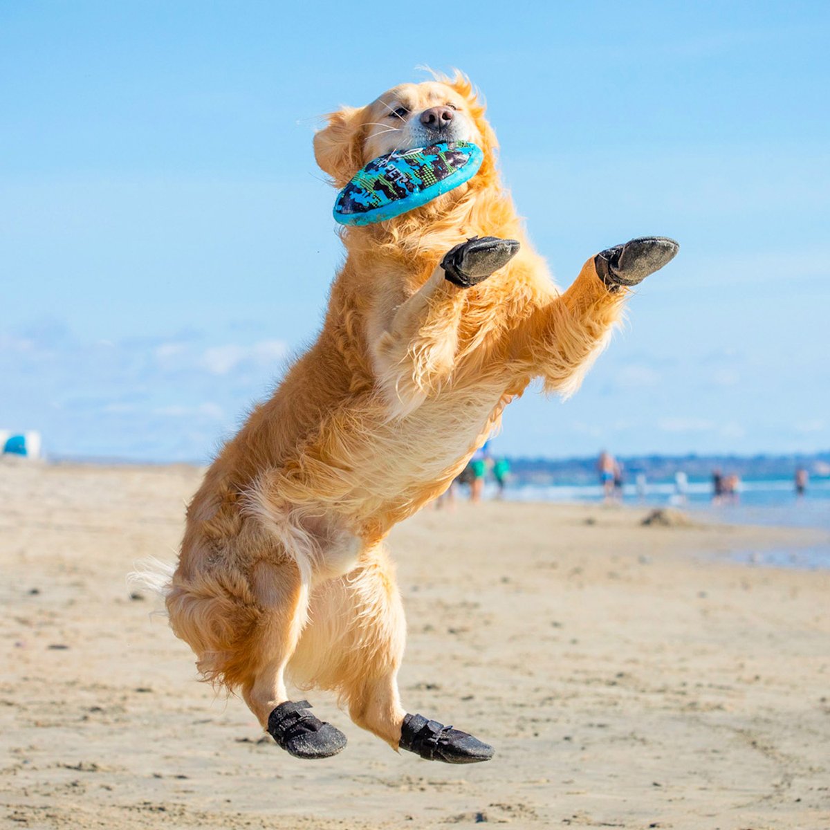 UltraPaws's tweet photo. Happy #PlayInTheSandDay! 🌞🏖 Our Rugged Dog Boots are designed for active, hard charging dogs.

Tough and water-resistant these boots are great for bringing on vacation this summer. They help protect paws against hot sandy beaches, as well as salt water! https://t.co/jIuVMePFWV