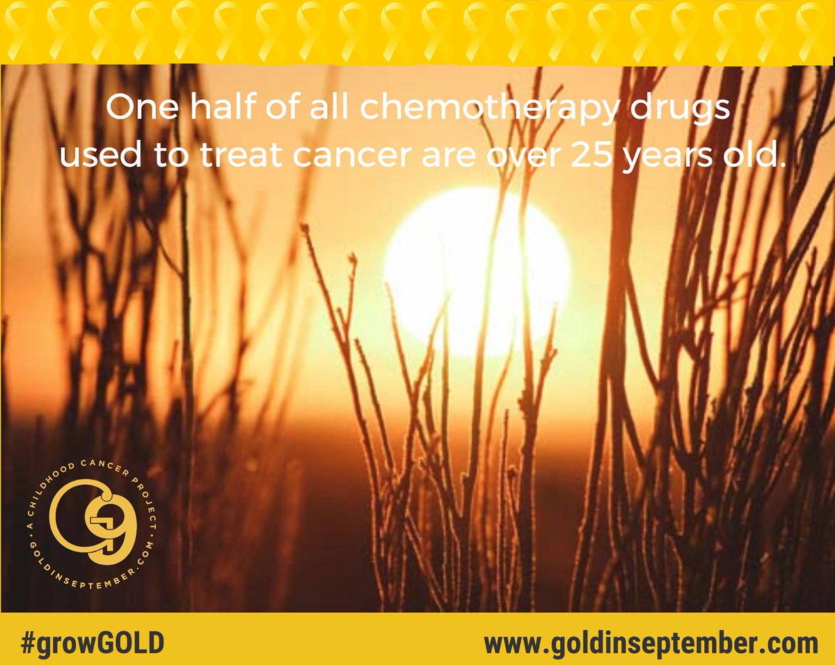 Gold In September tweet media