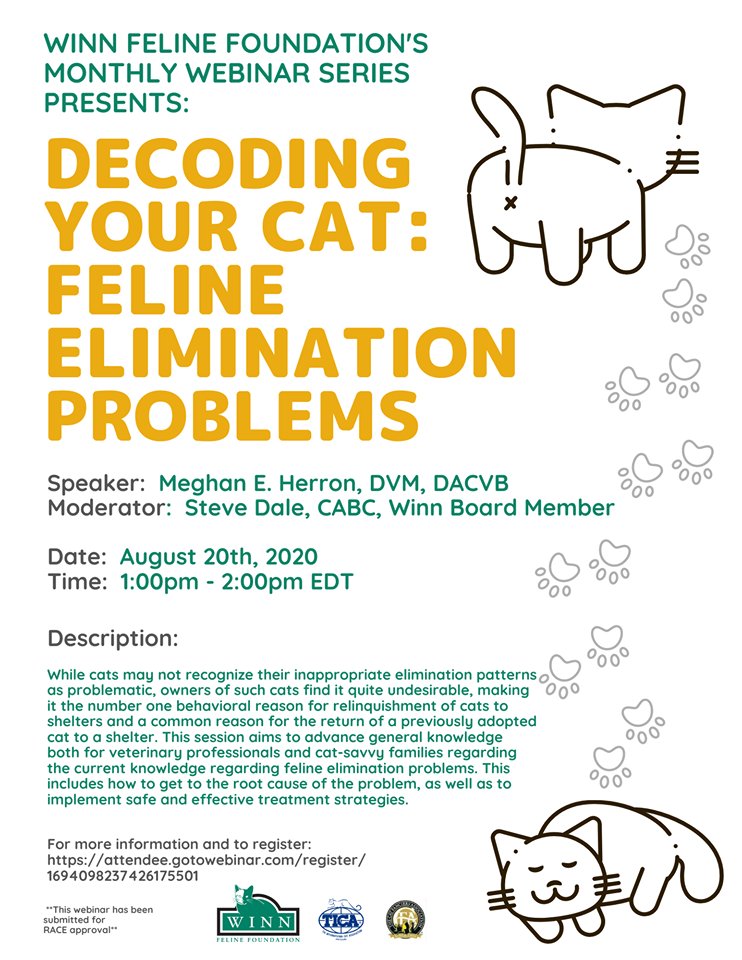 Decoding Cat Behavior