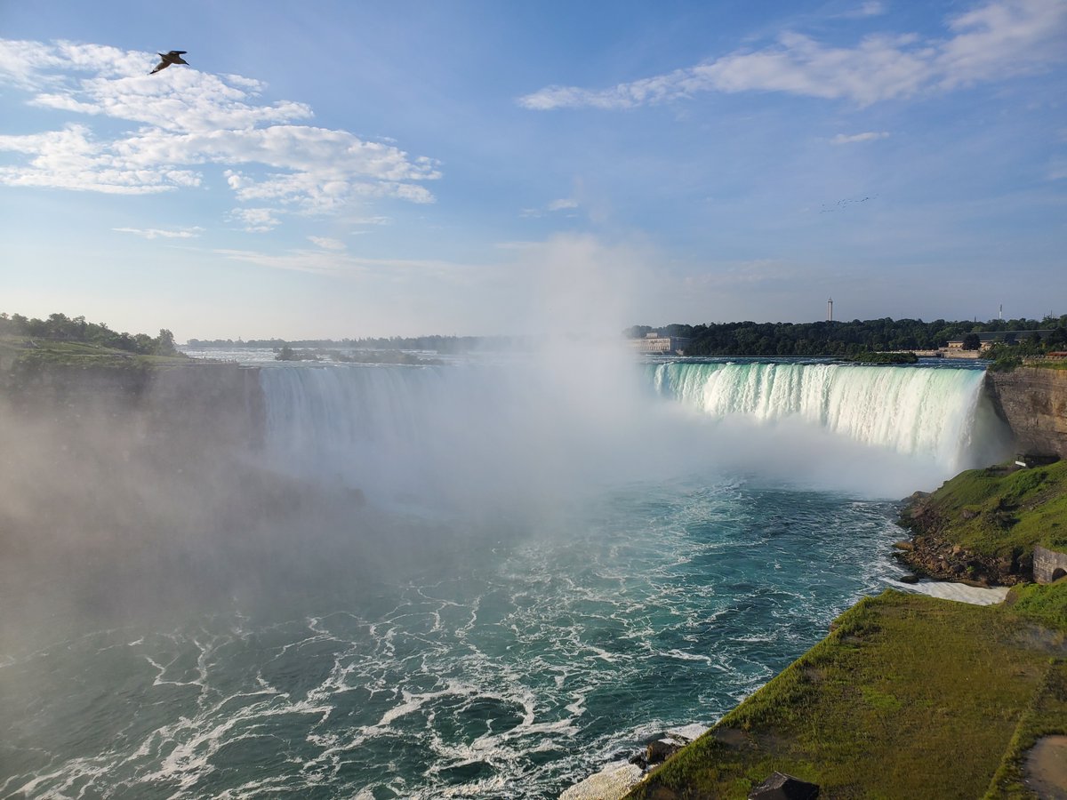 MagTours tweet media