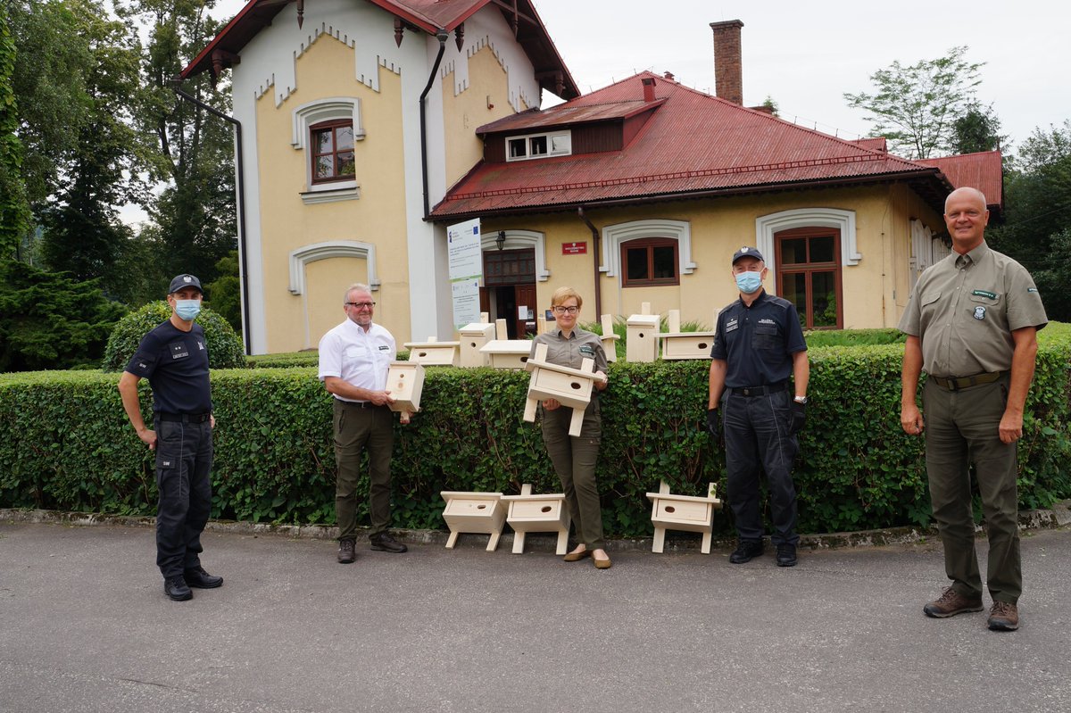 Jerzyki i inne gatunki ptaków zamieszkałe w Nadleśnictwie Sucha Beskidzka będą miały nowe miejsca schronienia👍🐦Dzięki inicjatywie funkcjonariuszy z ZK Wadowice oraz zaangażowaniu osadzonych, w jednostce powstało 35 budek, które zostały przekazane do nadleśnictwa.