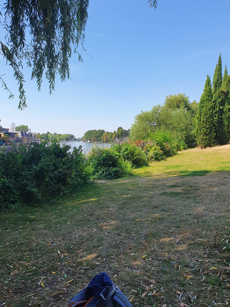 RevJodyStowell's tweet image. This is okay 🥰 #CEV #ShieldUs