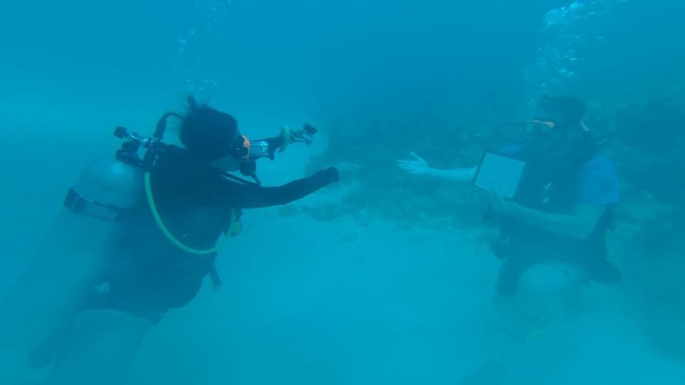 Danikara's tweet photo. @BrandonFaza decided to get down on one knee at the bottom of the ocean in Jamaica! Of all the fish in the sea- I said YES! Finally #branDONE #theBestCatch https://t.co/pP7J4Mnqs5