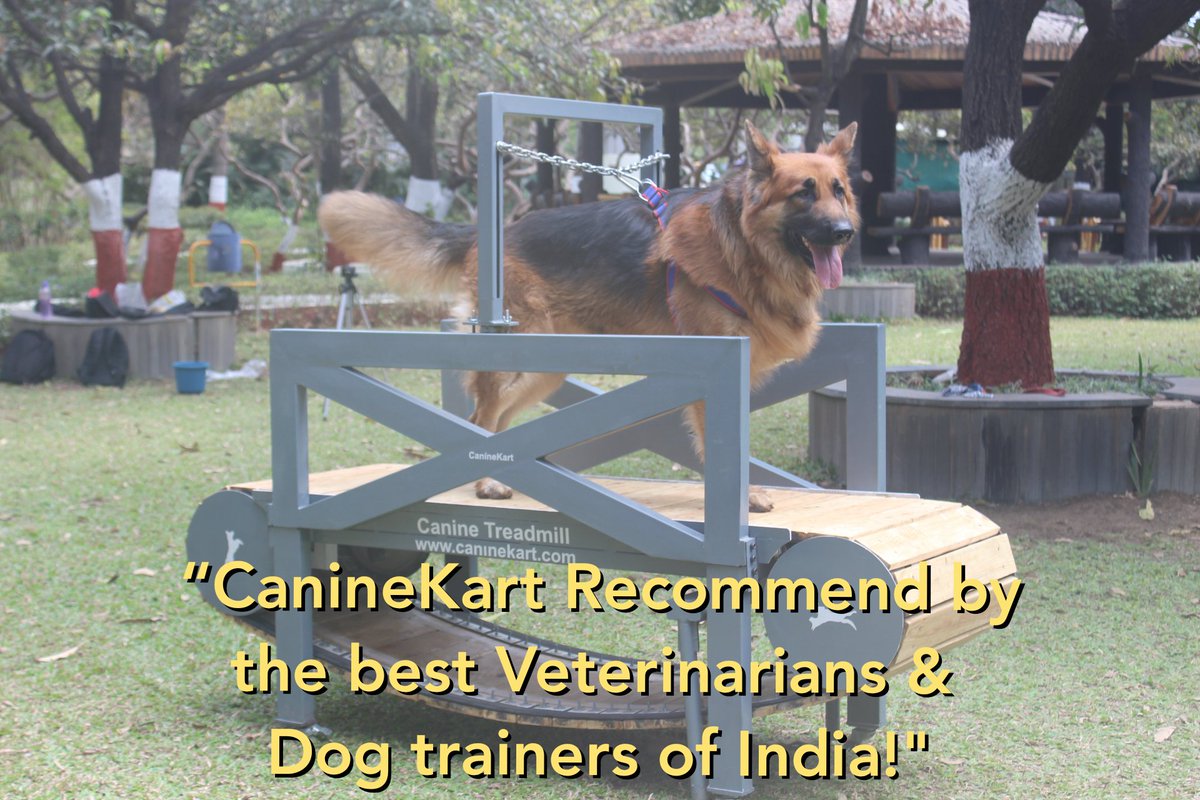 CanineKart's tweet image. &quot;CanineKart Recommend by the best Veterinarians &amp;amp; Dog trainers of India!&quot; #internationaldogday2020 #doitfordogs #dogtreadmill #caninekart