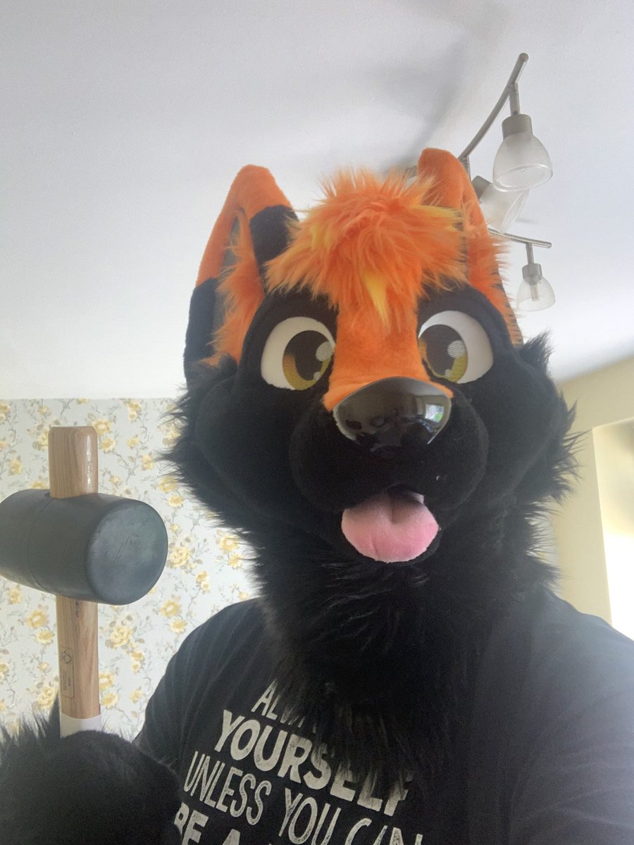 Osi_wolf's tweet photo. Right Time to decorate....... Oh oops
@FurTheWinStudio
#furry #oopsie #whoops #furthewinstudios #fursuiting #fursuiter #fursuit #furrycommunity #furries #furrywolf #distroyed #baddecorating #ukfurs #ukfur #ukfurries #furriesuk #decorating #ohno #orangewolfie #owo https://t.co/nhhJjIdZ8C