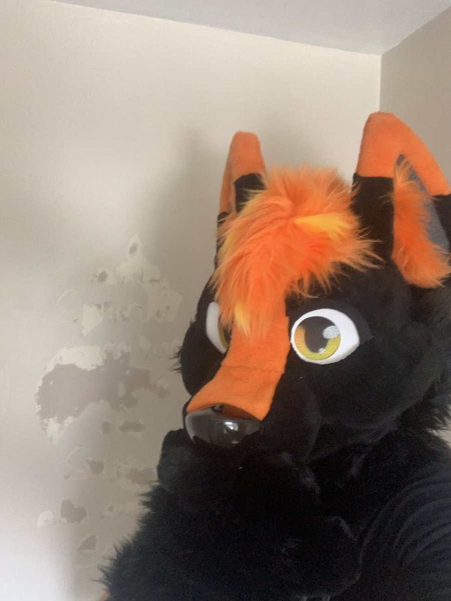 Osi_wolf's tweet photo. Right Time to decorate....... Oh oops
@FurTheWinStudio
#furry #oopsie #whoops #furthewinstudios #fursuiting #fursuiter #fursuit #furrycommunity #furries #furrywolf #distroyed #baddecorating #ukfurs #ukfur #ukfurries #furriesuk #decorating #ohno #orangewolfie #owo https://t.co/nhhJjIdZ8C