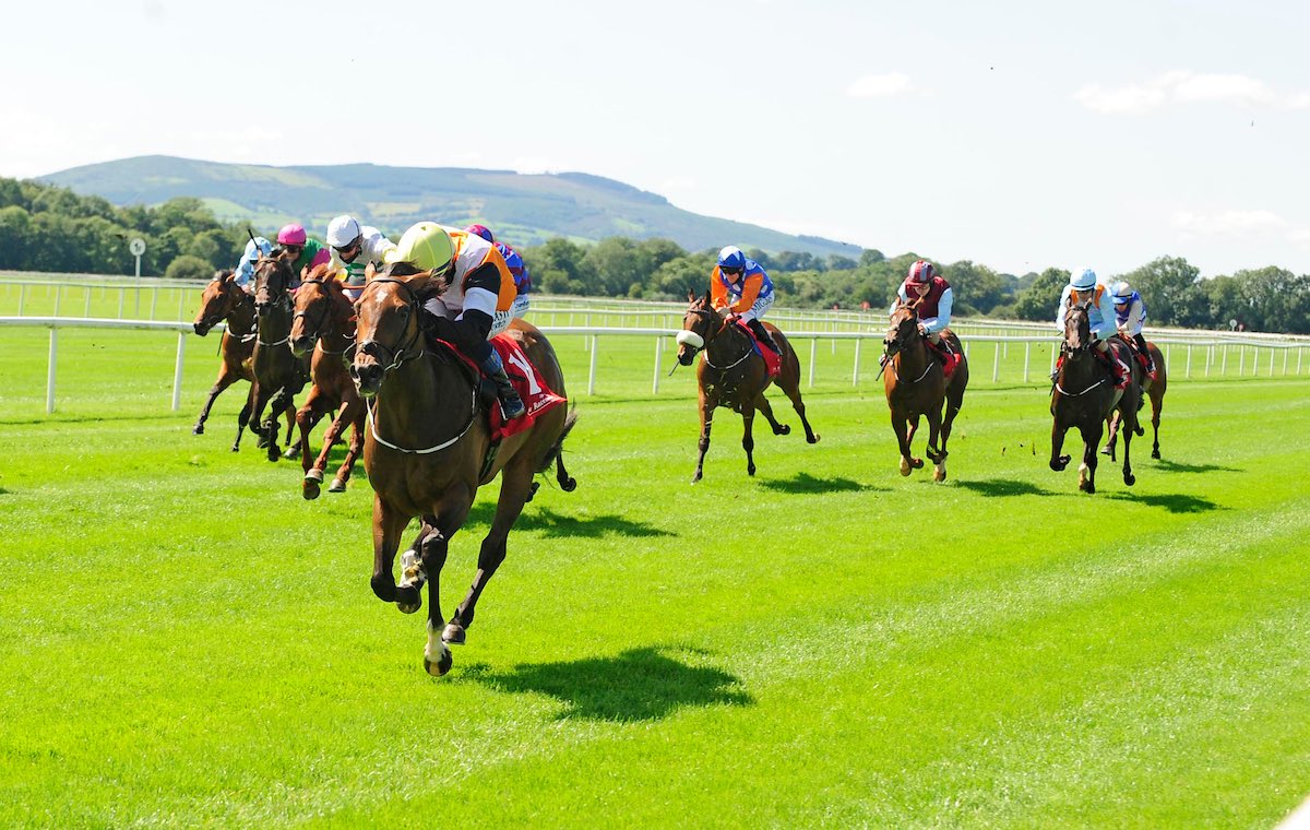 Stack_Racing's tweet image. Sloane Peterson Justifies Favouritism  At Cork... bit.ly/3kJnurU #StackRacing