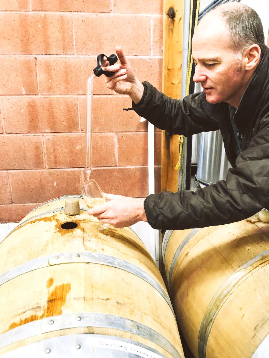 LangVineyards's tweet photo. 🌞 Lang Vineyards August 2020 Newsletter - https://t.co/wFeL3HZamm https://t.co/kHKwwFD3I6