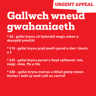 DileuTlodi's tweet photo. Cefnogwch ein hapêl brys ar gyfer Libanus, os gwelwch yn dda. Gallwch wneud llawer o wahaniaeth. #Libanus #ffrwydriadBeirut
https://t.co/Ij6SaMk9MZ https://t.co/AIh9eGQVod
