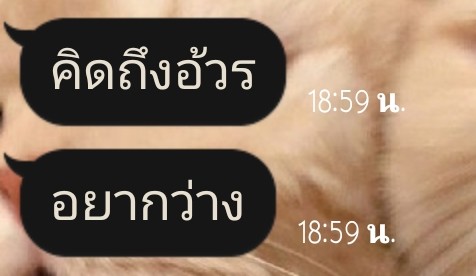 zDpA3vXEm1T9xG0's tweet photo. ใจพี่มันน้วย  ยแทฟุก่หบด่กสด
#รีฟอลฟรี https://t.co/eR0D8irNY3