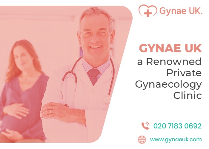 MartinElsia's tweet photo. 🔥Private Gynecologist London Harley Street for Gynaecological Service🔥
We are a renowned private gynaecology clinic; our consultant gynaecologist in Harley Street London treats all gynaecological conditions.
👉https://t.co/zxTDoaPmwN
#gynaecology #clinic #Gynecologist #gynaeuk https://t.co/8SbGutbf3C