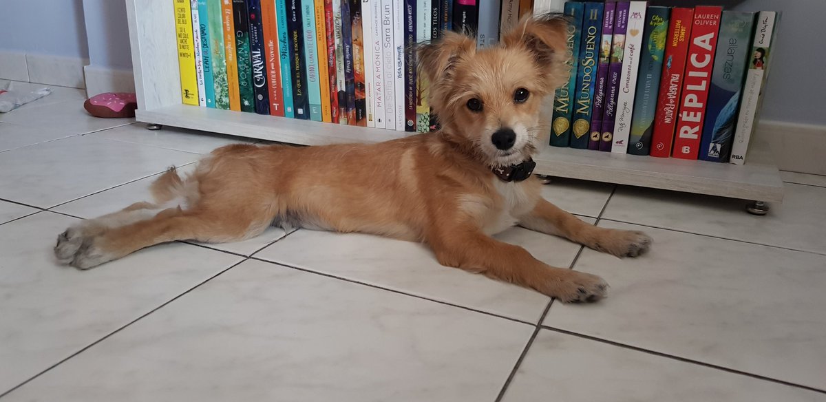 Enamorada de ti 💜