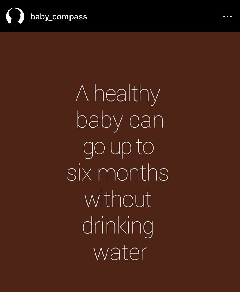 Did you know?

#babycompass #babyfacts #baby #pregnancy #momlife #mombloggers #mommyhood #momstyle #newborn #blogger #toddlerlife #parenthood #holdontomemories #smile #love #sleep #waterbaby #documentyourdays #ootdtoddler #letthembelittle #momlife #mompreneur #bloggingmom