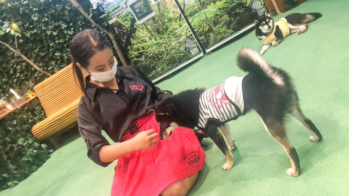 MihiroのTwitter画像26