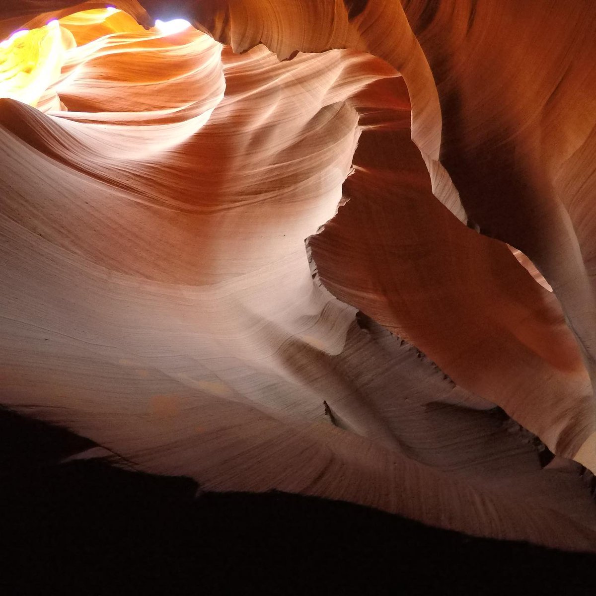 アリゾナ州ページ