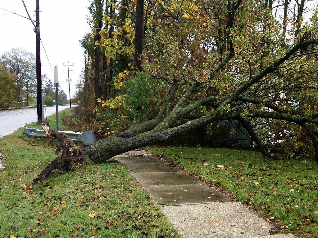 Our Sigourney office is up and running, but not the Kalona office.  If you have damage that needs reported, please call 641-622-3894