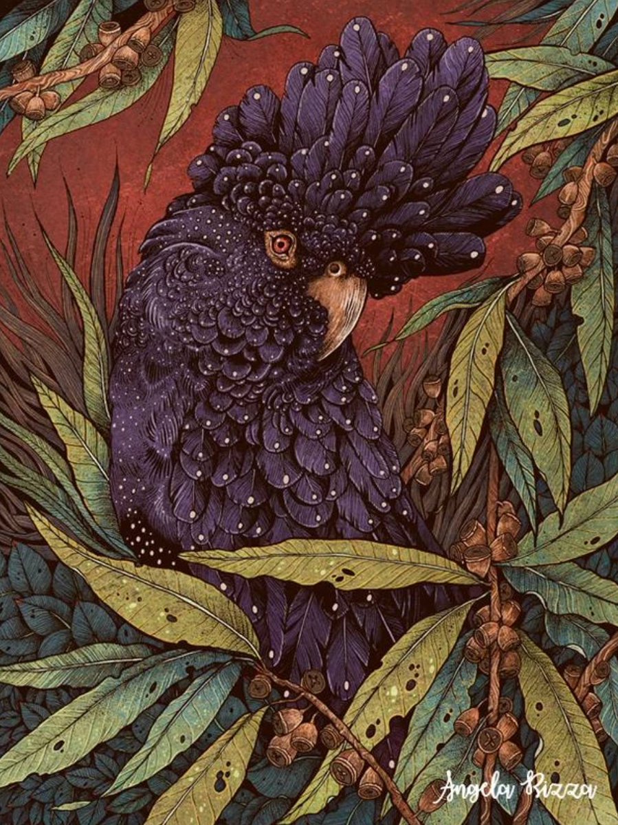 darknesscard's tweet photo. Tuesday Illustrator Spotlight

A sample illustration from the portfolio of Angela Rizza, the illustrator for "Dawn", the sequel to Darkness the strategy card game.  Coming to Kickstarter this October! https://t.co/GDI7Hiz8Gg