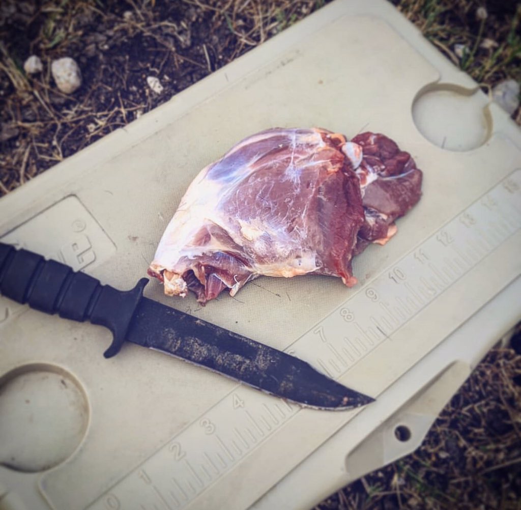 OntarioKnife's tweet photo. Sharp knife, Fresh meat, Adventure always. ππ½πͺ π₯©
#ontarioknifecompany #ontarioknife #ontarioknifeco #ontarioknives #OKC1889 #MadeinUSA #hunting #camping #hiking #outdoors #SpecPlus #survival #tactical #tools #SP1CombatKnife #edc #knife #blade #fixedblade #bushcraft #adventure https://t.co/UupSt6bsWH