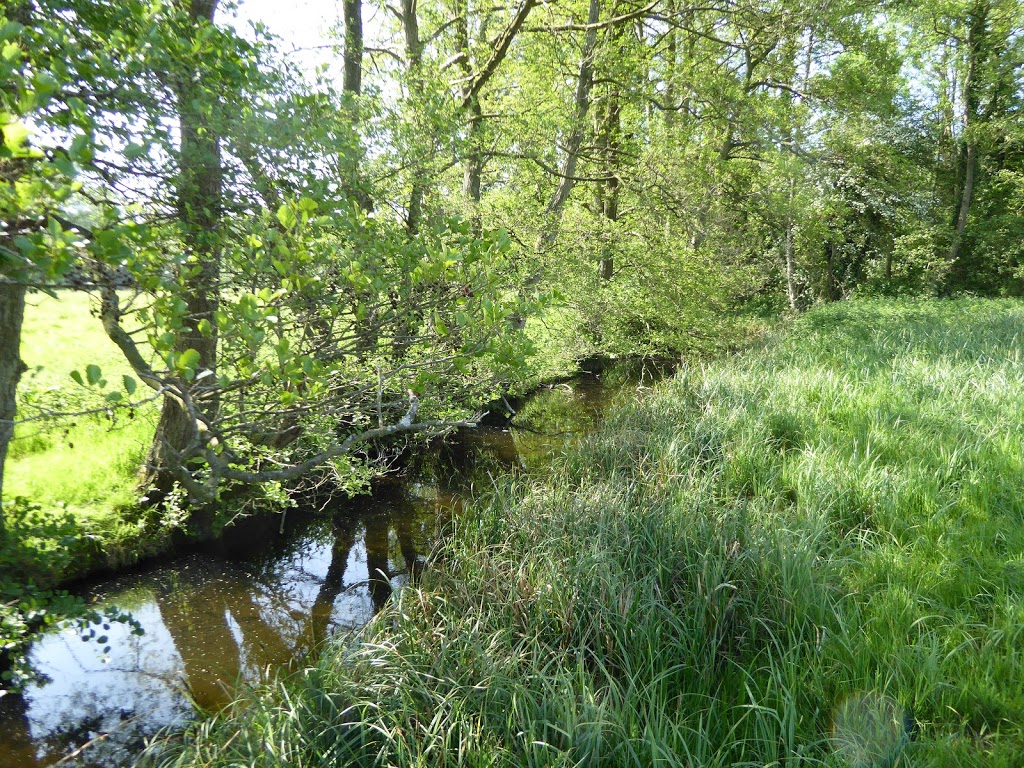 HIS is currently hosting a series of WebEx sessions. In July the session was with Sir Harry Burns, Former Chief Medical Officer for Scotland and Professor of Global Public Health, University of Strathclyde. The session is definitely one not to be missed.
youtube.com/watch?v=uiaxlv…