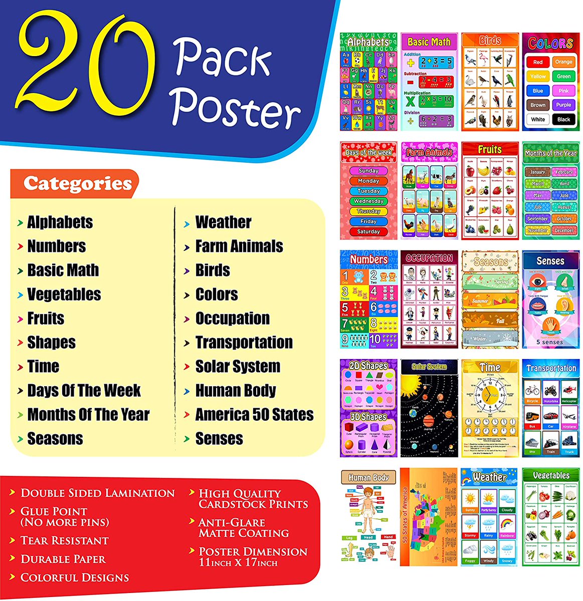 diyasmart's tweet photo. Make your kids more creative with these amazing classroom educational posters of animals, human body - for 1st and 2nd grade. 

https://t.co/YygYCb7wtI

#kids #preschool #amazonoffers #Kindergarten #BackToSchool2020 https://t.co/8PNezAvrtv