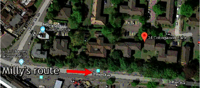 Bellfield's flat at the time was just yards away from the last place Milly was seen alive. In the 2 years before Milly's disappearance, Bellfield had been reported to the police 93 times and his current partner was in a womens shelter because of domestic violence.