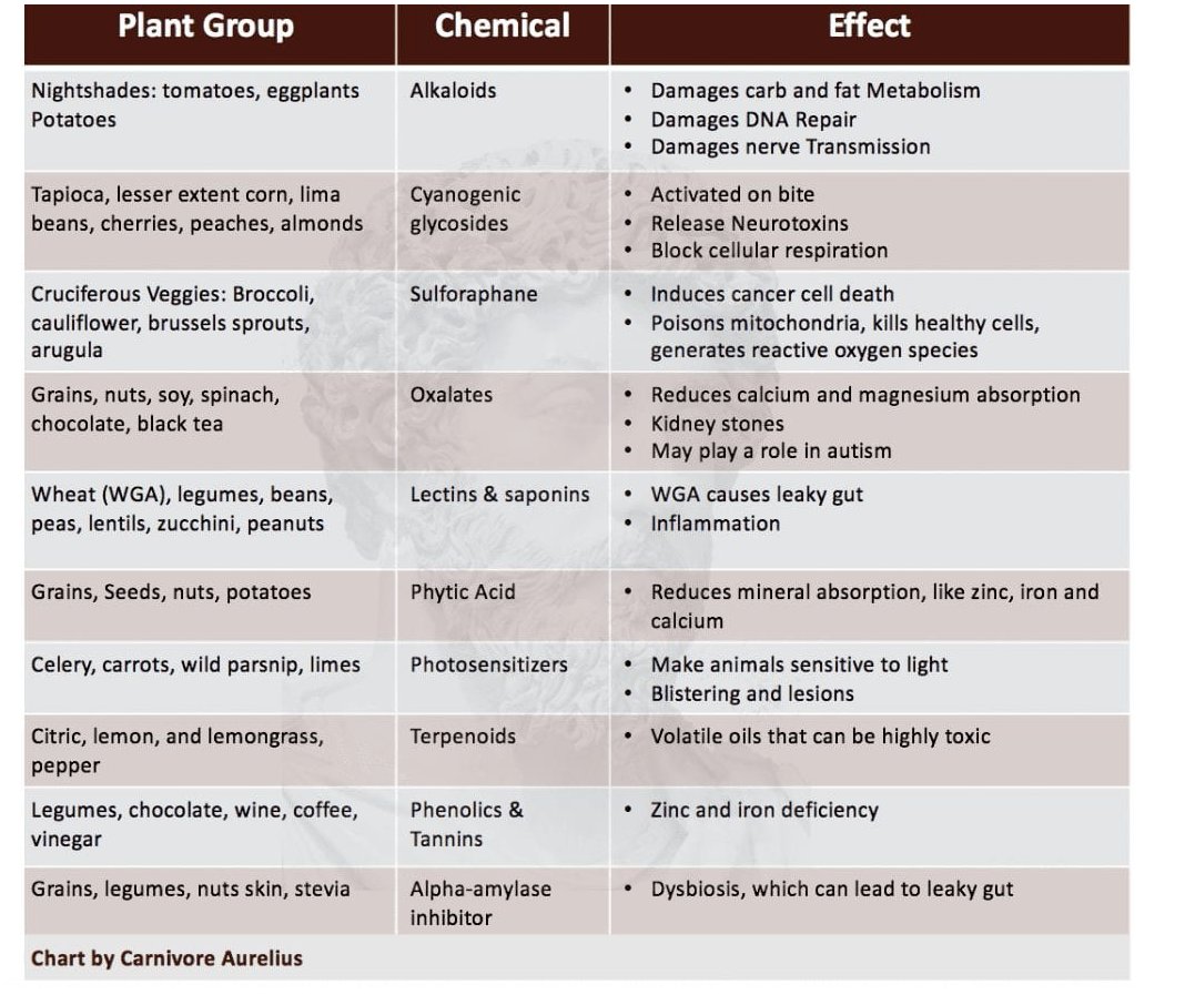 Almost every vegetable has a toxin in it that can be irritating. The table below summarizes some of the toxins that you can find in plants.
