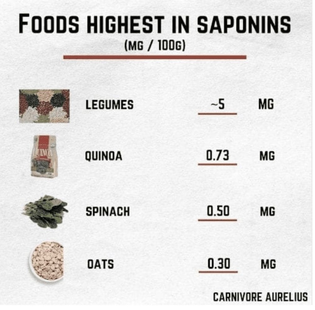 PLANT DANGER #2: SAPONINSSaponin isn't just a cool way to say hello to someoneSaponins are antinutrients and disrupt metabolism Saponins may interfere with the digestion of glucose, protein, and vitamins A, B12, D, and E.Saponins also can increase intestinal permeability