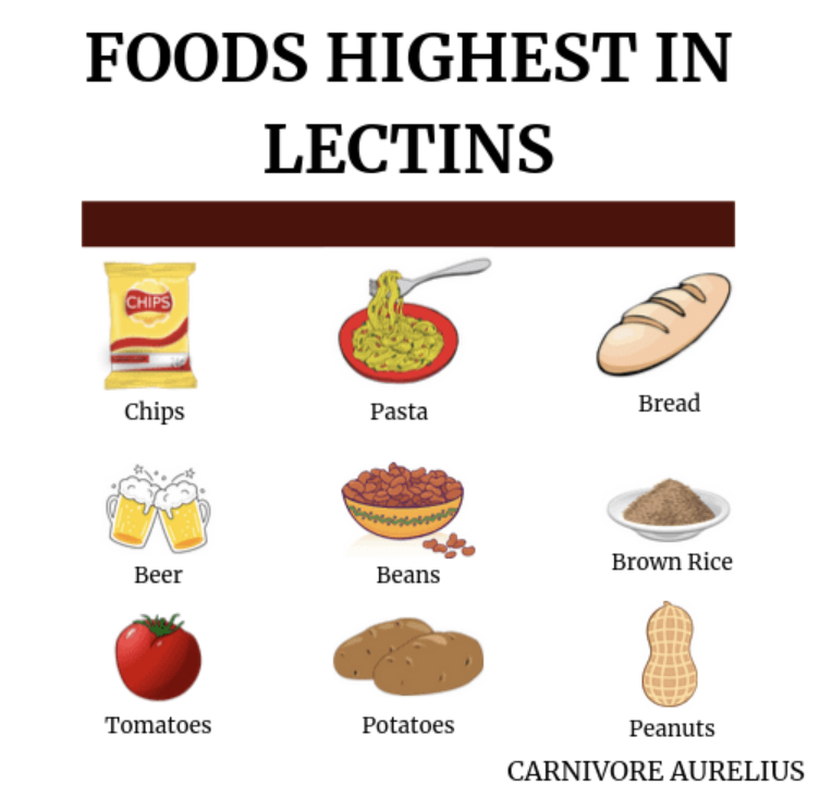 PLANT DANGER #5: LECTINSSeeds are the most protected part of a plant because without protecting it a plant cannot pass its genes on. They protect them with lectins.They've been linked to issues like- Autoimmune diseases- Depression- Insulin resistance- Obesity