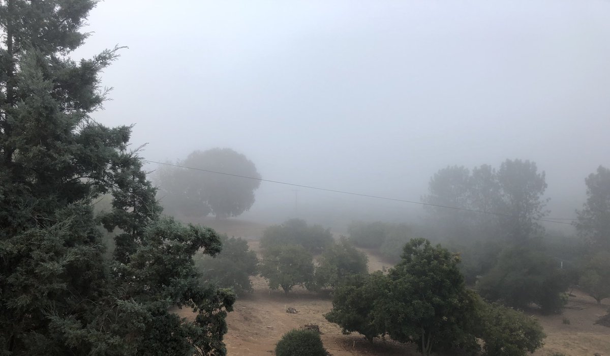 Robert Krier tweet media