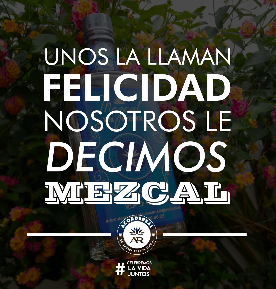 AcordeReal tweet picture