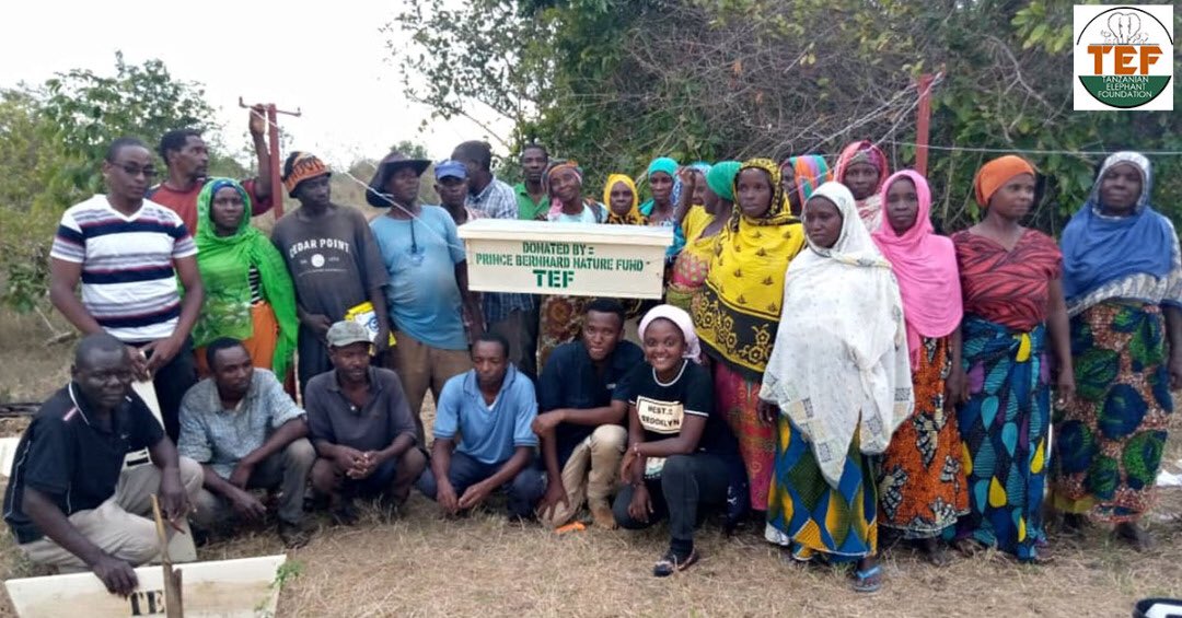Tanzanian Elephant Foundation tweet media