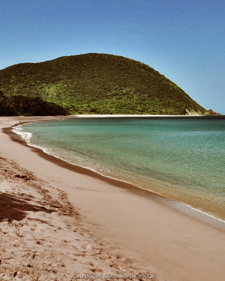 Guadeloupe_Pic's tweet photo. Plage &amp; Vacances . . .
Dans quelle commune sommes-nous ?
————————
- Bonne journée -
————————
Plage de #Guadeloupe 
Vacances aux #Antilles 
🌴 ☀️ ❤️ 💦 🔥 https://t.co/yImb5G8fq9