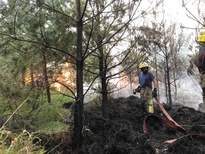 Firefighters from @Hants_Fire and @DWFireRescue are working hard in sweltering conditions to keep a blaze at #Ringwood Forest under control. 🚒 The fire service says it spans roughly five hectares and crews expect to be there for another couple of days.