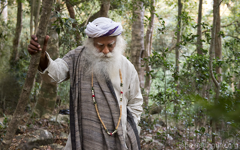 SadhguruJV's tweet image. Nature has given you a sense of individuality. But life does not happen as an individual. Life is happening as one whole. #SadhguruQuotes