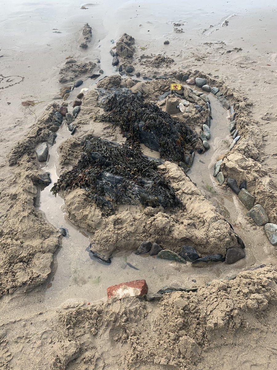 Jayne McCubbin tweet media