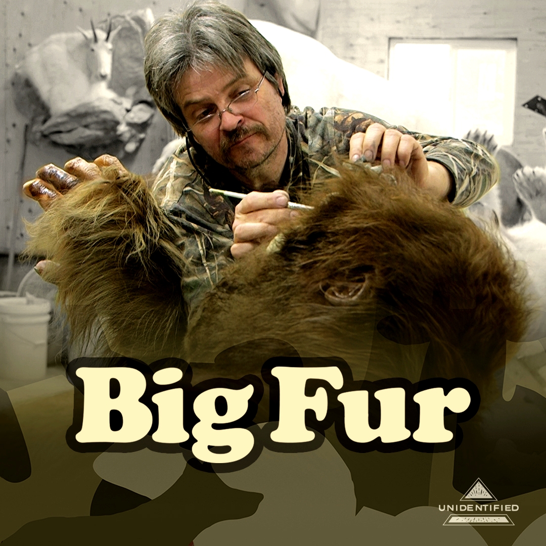 watchunidtv's tweet photo. Watch the channel premiere of Big Fur TONIGHT at 8 PM EST!

Have you ever seen Bigfoot? Ken Walker has... because he made the creature himself! Watch as this taxidermist meticulously creates a 7-foot version of Bigfoot. https://t.co/6p27c4pqzn