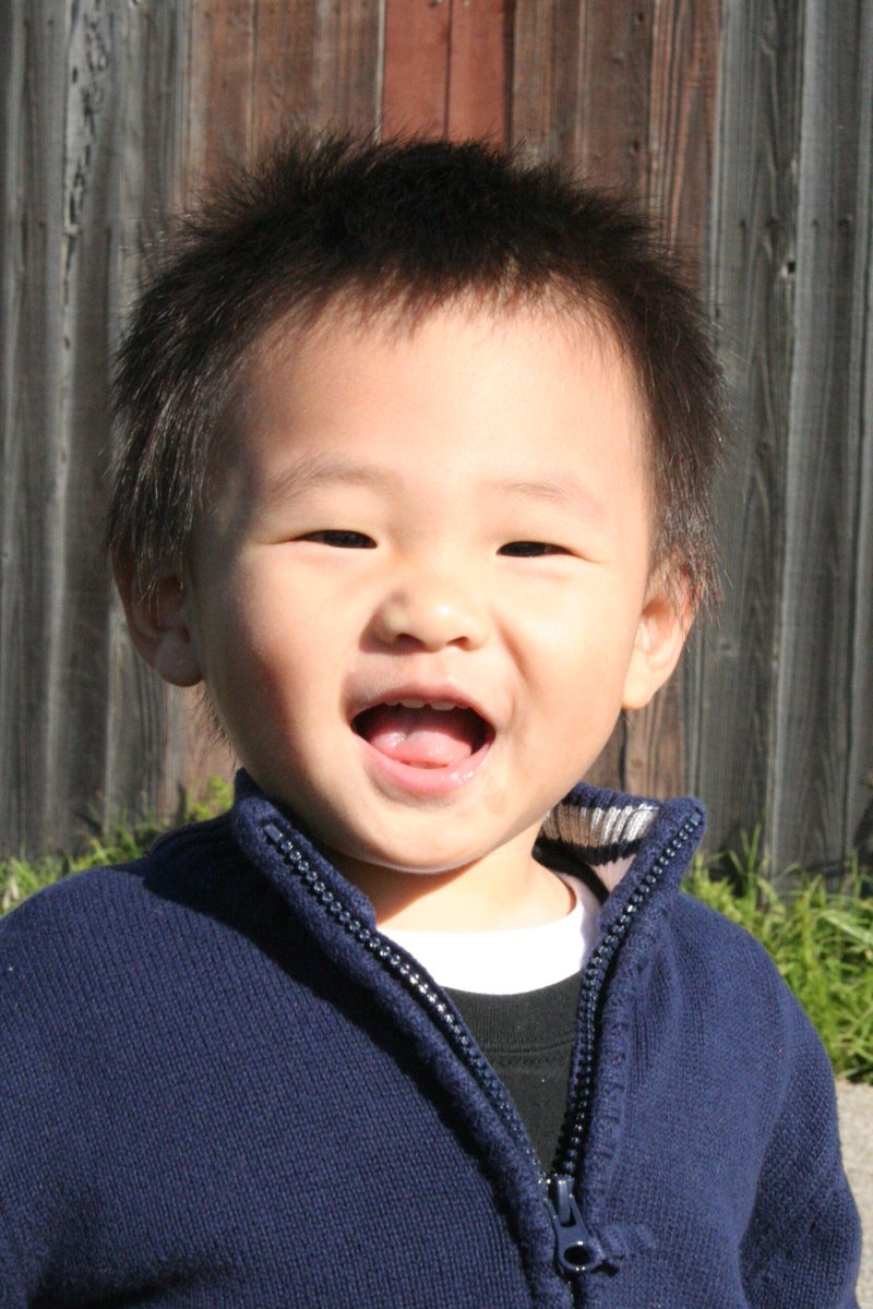 The Eames Chuchen Foundation tweet media